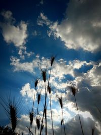 Low angle view of trees against cloudy sky