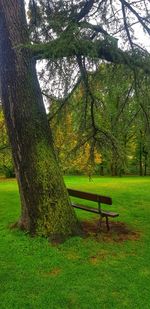 Bench in park