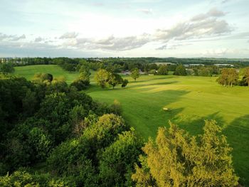 Scenic view of field against sky