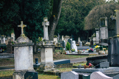 View of cemetery against trees