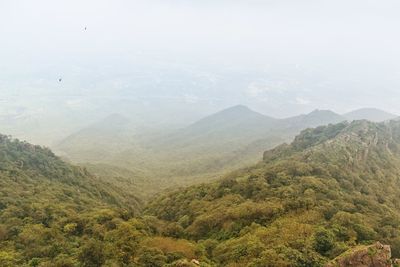 environment