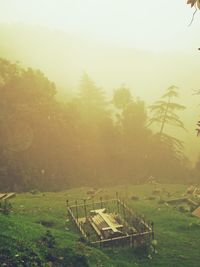 Scenic view of trees on field against sky