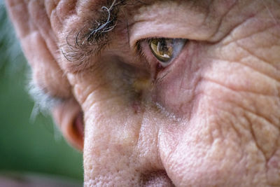 Close-up of human eye