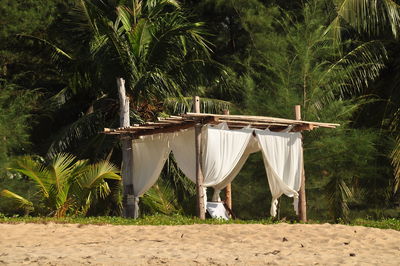 Clothes drying on grass against trees
