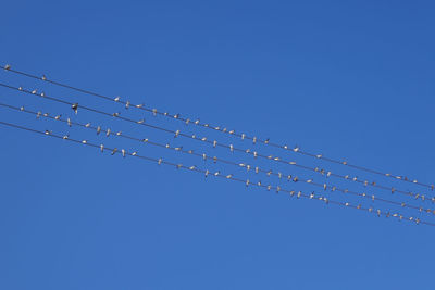 Low angle view of power cables against clear blue sky