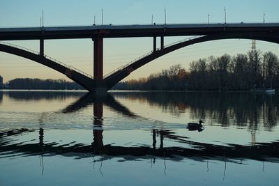 Symmetrical bridge reflection in river with duck