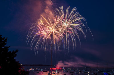 Low angle view of firework display at night