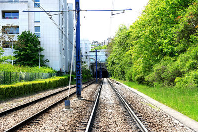 Railroad tracks amidst trees against sky