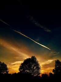 Low angle view of silhouette trees against sky