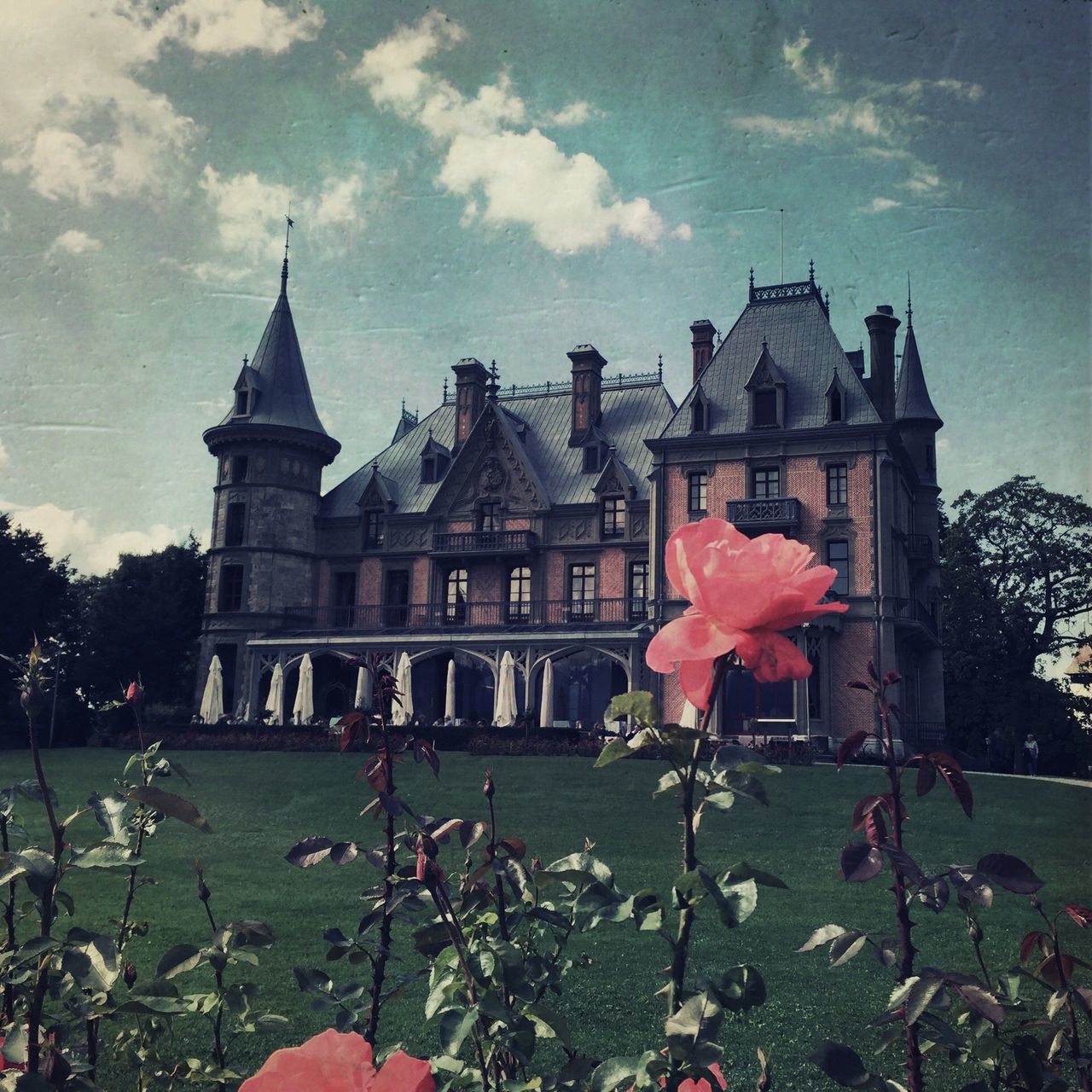 building exterior, architecture, flower, built structure, sky, cloud - sky, religion, place of worship, spirituality, plant, church, cloud, pink color, famous place, lawn, cloudy, fragility, day, grass