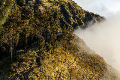 Scenic view of mountain against sky