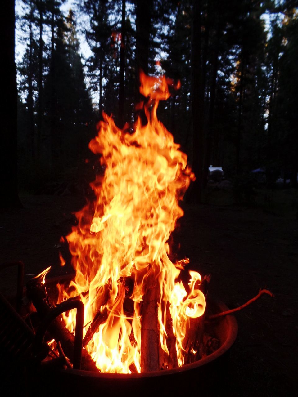 burning, fire - natural phenomenon, flame, heat - temperature, bonfire, firewood, fire, glowing, campfire, orange color, night, heat, motion, outdoors, wood - material, close-up, forest, no people, tree, log