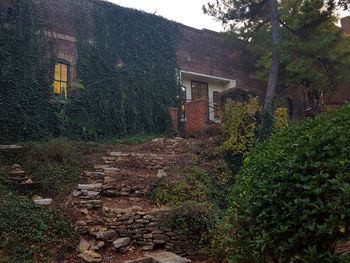 Building with trees in background