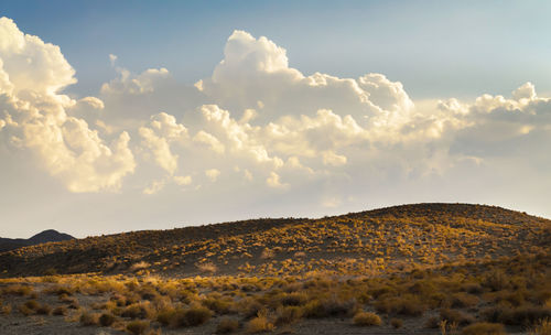 Low angle view of field against sky