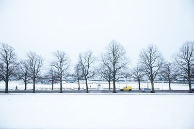 Bare trees on snow covered landscape against clear sky