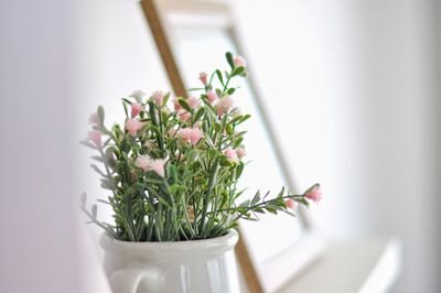 Close-up of white flowering plant on table