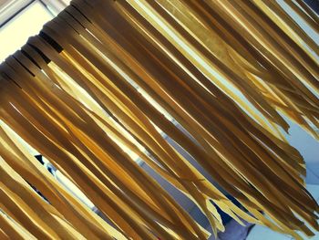 Close-up low angle view of leaves