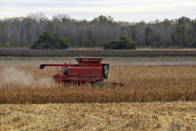 agriculture