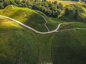 High angle view of green landscape