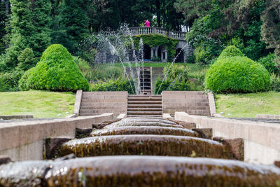 Low angle view of fountain amidst trees in park