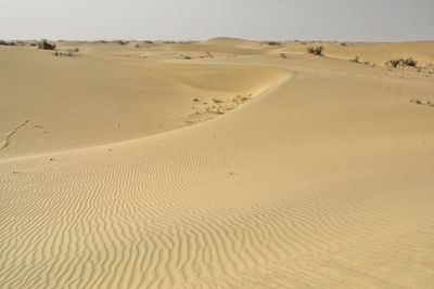 Scenic view of sand dunes in desert against sky