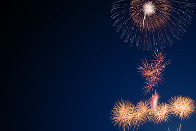 Low angle view of firework display at night