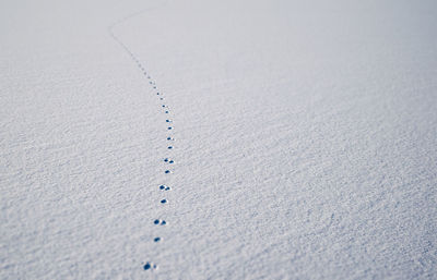 Footprints on snow covered field
