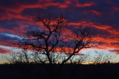 Silhouette bare tree against sky during sunset