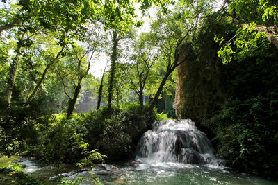 Scenic view of waterfall in forest