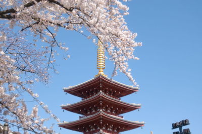 Low angle view of cherry blossoms against red pagoda