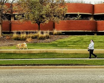 Full length of woman walking on grass