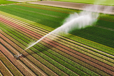 High angle view of agricultural field