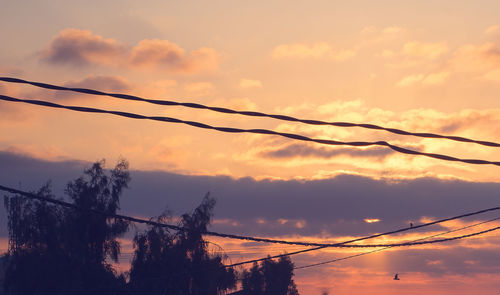 Low angle view of silhouette trees against sky during sunset