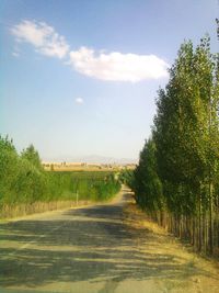 Road amidst trees against sky