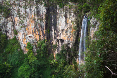 Scenic view of waterfall in forest