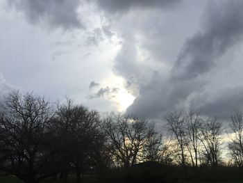 Low angle view of trees against cloudy sky