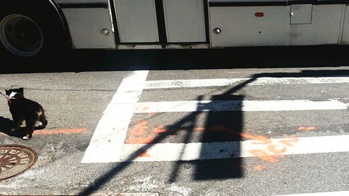 Shadow of people on road