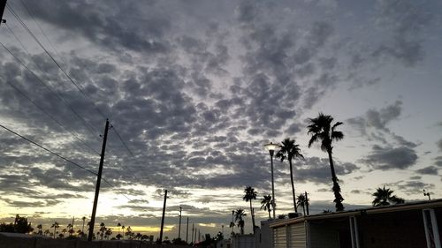 Low angle view of palm trees against dramatic sky