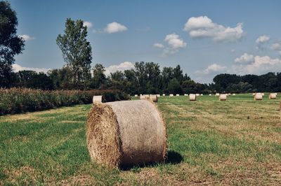 Hay bales on field against sky