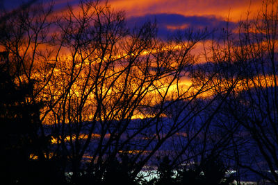 Silhouette of bare tree against dramatic sky