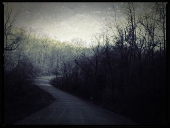 Road amidst trees in forest against sky