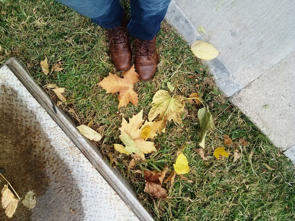 low section, person, high angle view, shoe, standing, leaf, lifestyles, human foot, personal perspective, plant, unrecognizable person, men, leisure activity, footwear, footpath, autumn, outdoors