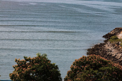 shore
