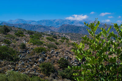 Scenic view of mountains against blue sky