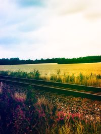 Scenic view of field against sky