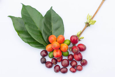 Close-up of cherries against white background