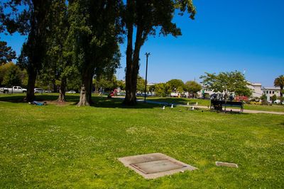 Lawn in park against blue sky