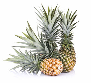 Close-up of fruits against white background