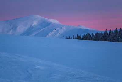 Winter landscape from rodnei mountain. a cold foggy morning with heavy snow.