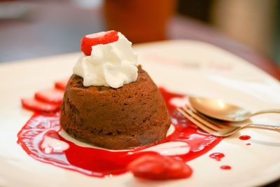 Close-up of dessert served in plate